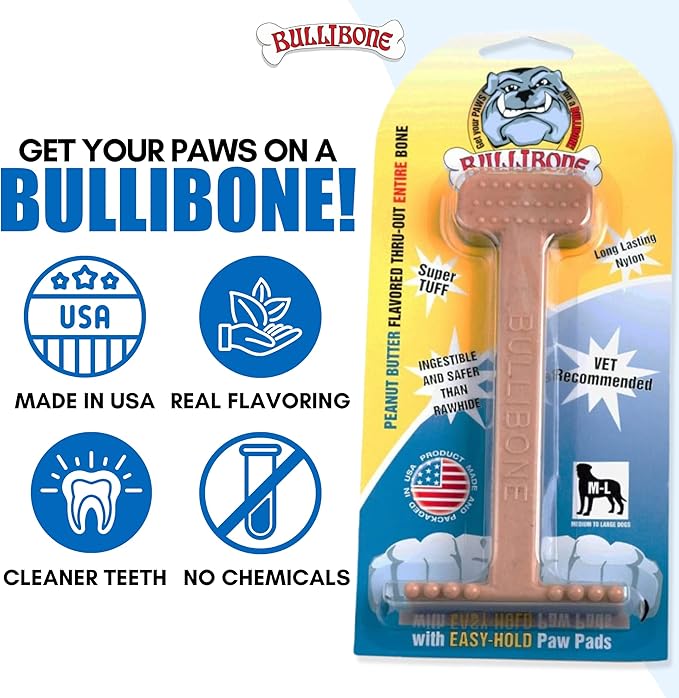 Bullibone Nylon Dog Chew Toy for Aggressive Chewers - Dental Hygiene Bone with Peanut Butter Flavor, Durable Tough Chew Toys for Small Dogs, Indestructible Dog Bone - Single