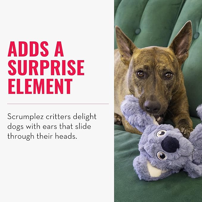 KONG Scrumplez Dog Toy - Soft Plush Squeaker Toy for Interactive Play, Stuffed with Extra-Squeaky Fun, Durable and Engaging for Dogs (Gray Koala)