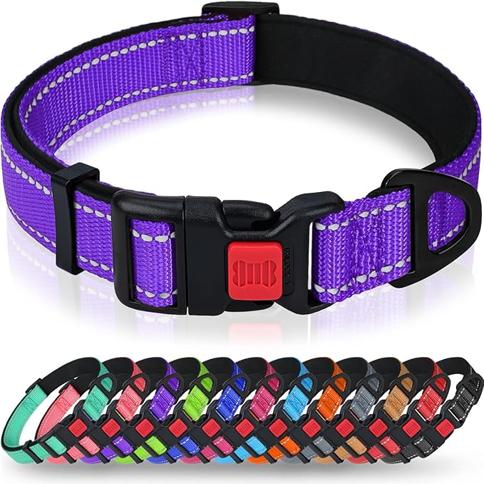 Taglory Reflective Dog Collar with Safety Locking Buckle, Soft Neoprene Padded Dog Collar for Small Dogs, Metal D-Ring, Adjustable Nylon Neck Strap for Daily Walking, Training & Running, Purple, S