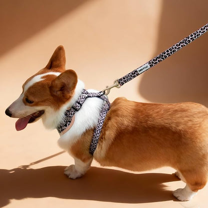 5 FT Stylish Dog Leash, Soft Dog Leashes with Comfortable Padded Handle, Metal Carabiner Clip, Strong No Pull Pet Leash for Small Medium Dogs for Walking, Shopping and Running