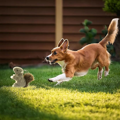 Squirrel Dog Toy w/ Squeaker | Plush Squirrels Dogs Toys | Stuffed Squeaky Squirrel Toy for Pets | Realistic Animal Dogs Toys | Squeaky Squirrels | Small/Medium Breed | Multicolor | 6"
