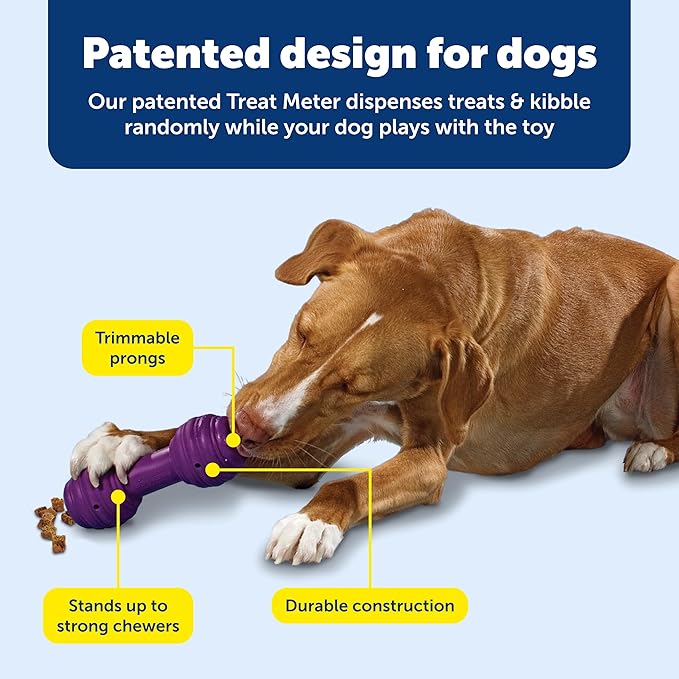 PetSafe Busy Buddy Chuckle - Treat Dispensing Toy for Interactive Play - Chuckle Sound Toy - Dog Enrichment Chew Toy - Durable Rubber Construction - Dishwasher Safe