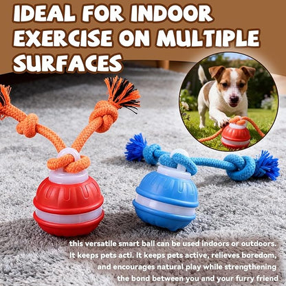 Interactive Dog Toys,Dog Ball,Automatic Rolling Moving for Interactive Dog Toys,Upgraded 360° Smart Automatic Rolling,Toy Wicked Ball for Boredom & Training for Puppy Small Dogs (Blue)