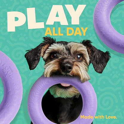Yomp SuperLoop Max Dog Chew Ring Toy – Durable, Dishwasher Safe, for Active Play, Tug, Fetch & Chew, Freezer Safe for Teething Relief, Made of Non-Toxic, All-Natural Rubber