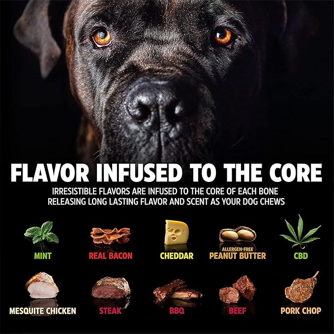 Pet Qwerks Nylon Stick BarkBone - Durable Dog Toys for Aggressive Chewers - Peanut Butter Flavor - 9"