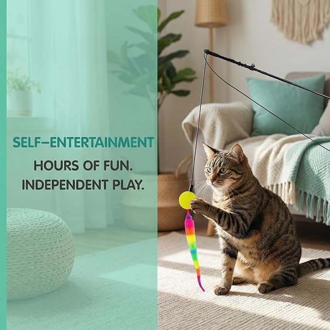 Interactive Cat Wand Toy Set - 4 Pack Entry Level with Bouncy Balls, Worm Teasers & Rainbow Bug Attachments for Indoor Cats & Kittens