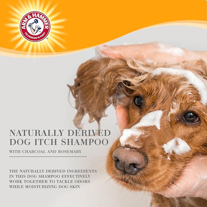 Arm & Hammer Ultra Fresh Charcoal Dog Shampoo with Rosemary for Deep Cleansing and Odor Control, Baking Soda Deodorizing Pet Shampoo, Pump Bottle Dog Wash, Eucalyptus Mint Scent, 24 Fl Oz
