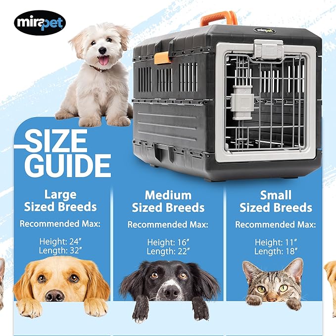 Pet Carrier & Crate, 21.5"L x 12"W x 14"H - Collapsible for Small Cats and Dogs, Portable Hard Plastic Wall Kennel for Indoor/Outdoor Use