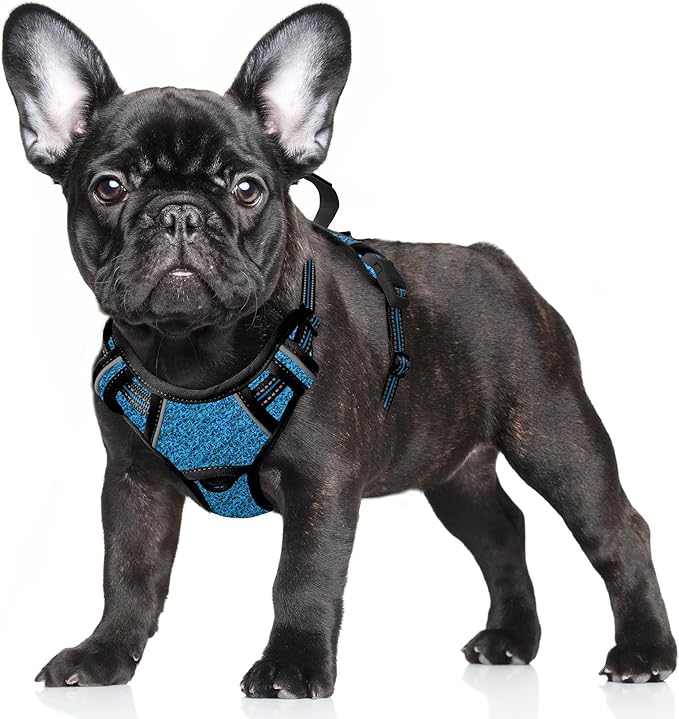 BARKBAY No Pull Dog Harness Large Reflective Dog Harness with Front Clip and Easy Control Handle for Walking Training Running with ID tag Pocket(Blue/Black,S)
