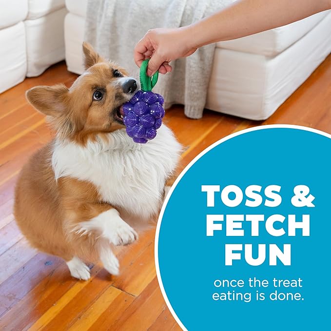 Outward Hound Dental Grapes Dog Toy & Treat Stuffer, 6″ x 3″ Grape-Scent Interactive Chew for Dogs, Helps Clean Teeth, Promote Healthy Gums & Mental Enrichment, Reduce Boredom & Support Dental Health