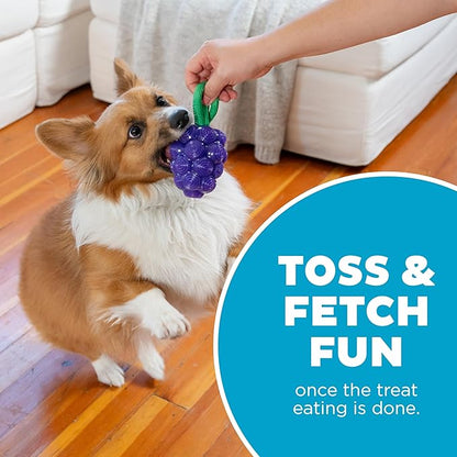 Outward Hound Dental Grapes Dog Toy & Treat Stuffer, 6″ x 3″ Grape-Scent Interactive Chew for Dogs, Helps Clean Teeth, Promote Healthy Gums & Mental Enrichment, Reduce Boredom & Support Dental Health