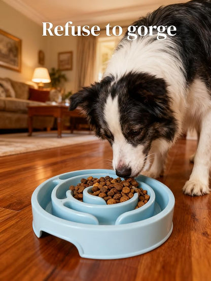 Pet Slow Feeder Bowl - Anti-Choking Maze Design, Universal for Dogs & Cats, Anti-Slip & Anti-Tip (Bowl-Light Blue)