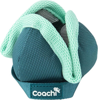 Coachi Puppy & Mini Chase & Treat - Great for Play & Chase, Agility & Distance Training, Encourages Interaction, Good for Motivating, Distance Reward Training & Retrieval. Suitable for Dogs & Puppies