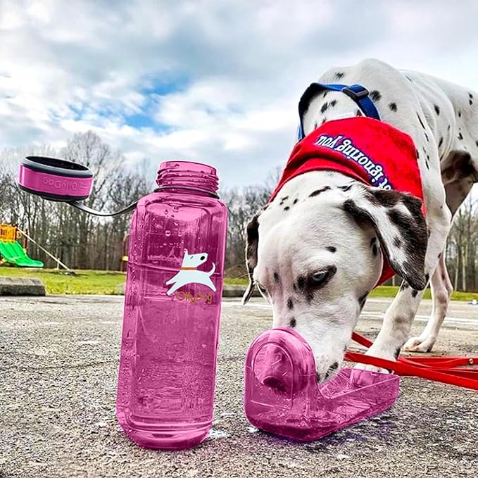 OllyDog OllyBottle, Dog Water Bottle with Detachable Bowl, No Spill Travel Bottle for Dogs, Wide Drinking Cup, BPA-Free Tritan, Easy Clean, Convenient for Walking & Hiking (1L, Hot Pink)