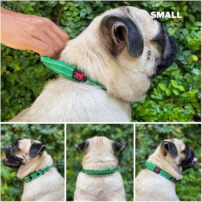Tuff Pupper Heavy Duty Dog Collar with Handle | Ballistic Nylon Heavy Duty Collar | Padded Reflective Dog Collar with Adjustable Stainless Steel Hardware | Convenient Sizing for All Breeds