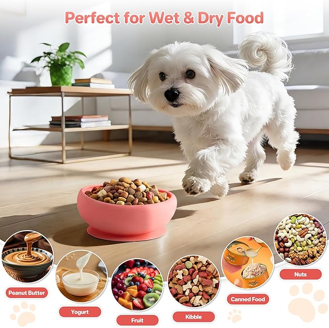 Dog Lick Bowl Slow Feeder with Slanted Anti-Spill Design, Extra-Thick Bite-Resistant Rim, Strong Suction Base, Freezer Safe for Frozen Treats — A Cleaner Alternative to Lick Mats for Dogs (Coral)