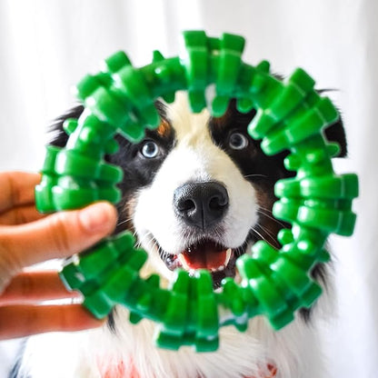 Nylabone Textured Ring Power Chew Toy for Dogs, Dog Chew Bones for Aggressive Chewers, Wintergreen Flavor, X-Large - 50+ lbs, 1 Count