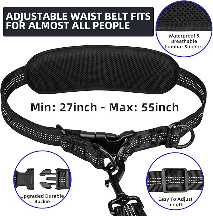 Hands Free 2 Dog Running Leash with Waist Belt, Dual Handle Elastic Bungees Retractable Rope for Small and Medium Dogs, Reflective Stitches for Walking Hiking Biking (Small Blue, 8-25lb)