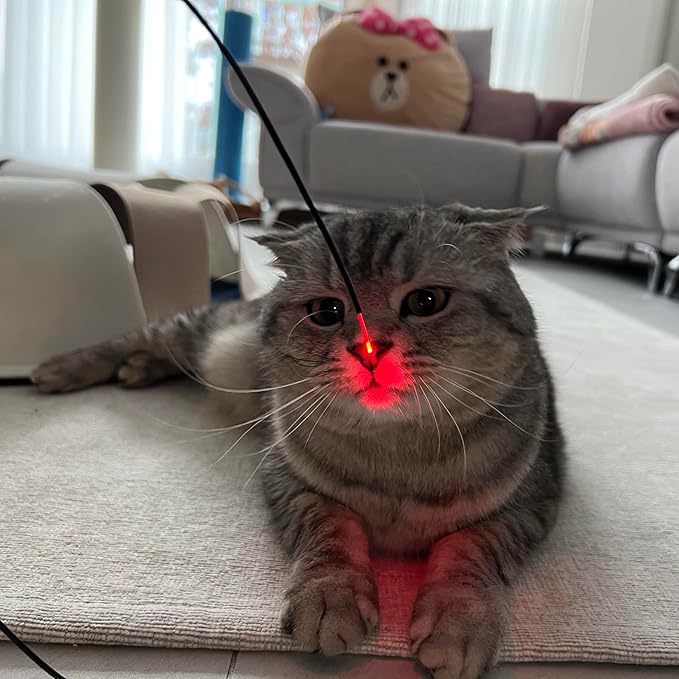 Firefly Feather Laser Cat Interactive CAT Toy Laser Firefly Hunting (RED)
