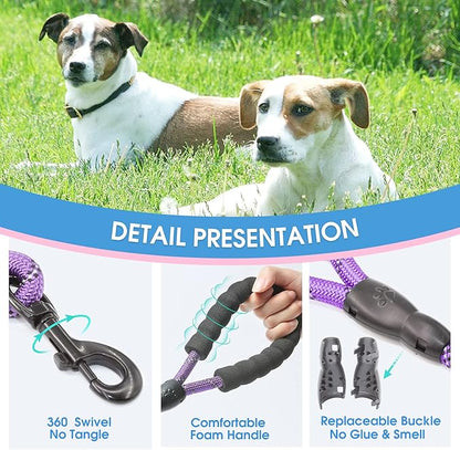 BAAPET 2/4/5/6 FT Dog Leash with Comfortable Padded Handle and Highly Reflective Threads for Small Medium and Large Dogs (5FT-1/2'', Purple)