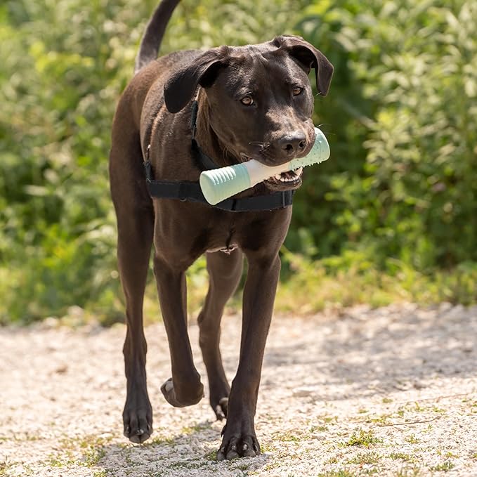 Chew King by Mammoth Dental Dog Toy Collection, Stick Clinically Proven to Remove Plaque
