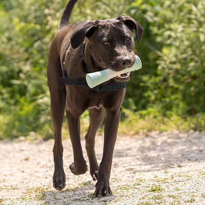 Chew King by Mammoth Dental Dog Toy Collection, Stick Clinically Proven to Remove Plaque