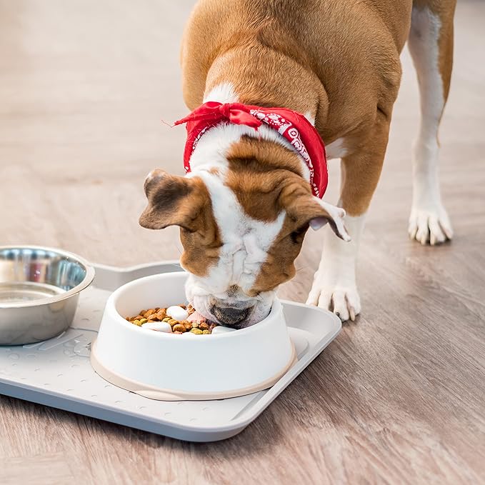 IRIS USA 4 Cups Slow Feeder Dog Bowl, Anti-Choking, Anti-Slip, Dog Slow Feeder, Puzzle Bowl Toy, Healthy Digestion, Short snouted, Dogs Cats & Other Pets, BPA, PVC, Phthalate Free, White/Beige
