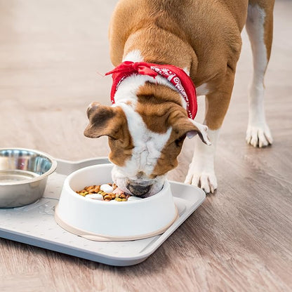 IRIS USA 4 Cups Slow Feeder Dog Bowl, Anti-Choking, Anti-Slip, Dog Slow Feeder, Puzzle Bowl Toy, Healthy Digestion, Short snouted, Dogs Cats & Other Pets, BPA, PVC, Phthalate Free, White/Beige