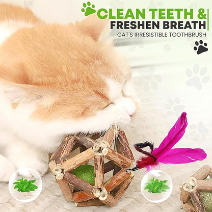 Natural Silvervine Catnip Ball, Feather and Bell Attached, for Indoor Cats, Cleaning Teeth Matatabi Cat Chew Toy. All Kitten Breeds.