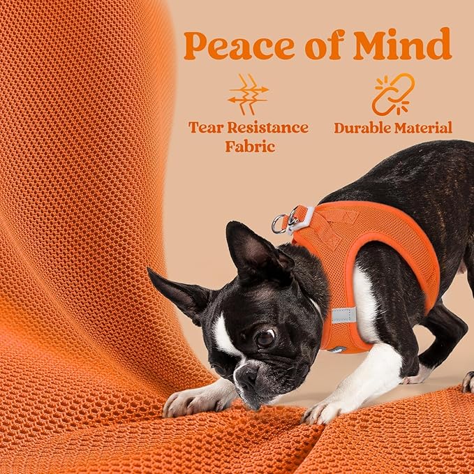 rabbitgoo Small Dog Harness, Step-in Soft Mesh Puppy Vest with Safety Buckle, Breathable Reflective Pet Harness for Small Sized Dogs, Orange XS