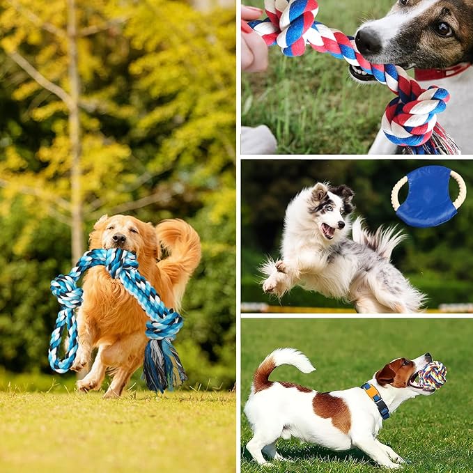 6 Pack Dog Rope Toys for Small Medium Large Breed, Tough Chew Rope Tug Toy for Dogs, Flying Disc Fetch Toy Dog Rope Ball, Interactive Toy for Boredom, Puppy Teeth Cleaning