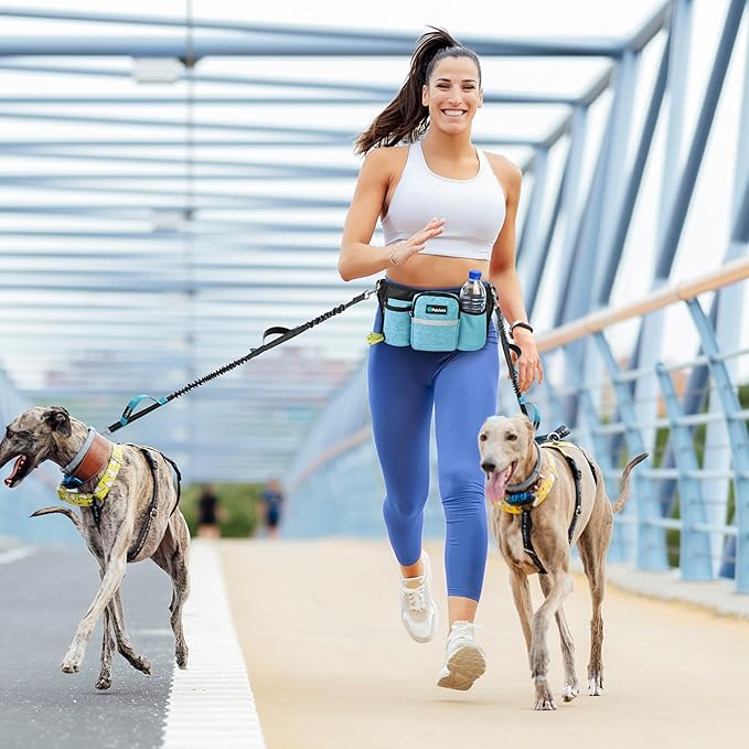 PetAmi Premium Hands Free Dog Leash for 2 Dogs, Adjustable Waist Belt for Dog Walking, Fanny Pack Accessories Bag Dual Bungee for Running, Hiking, Jogging, Biking, Turquoise Blue