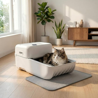 Open Top Self Cleaning Cat Litter Box, Automatic Litter Box for Multiple Cats with APP Control and Safety Protection