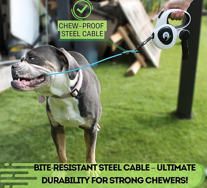 Snuggle Paws Retractable Dog Leash 16ft – Heavy Duty All-in-One Dog Leash with LED Flashlight, Poop Bag Holder, Chew Proof Steel Cable & Reflective Tape – Size M