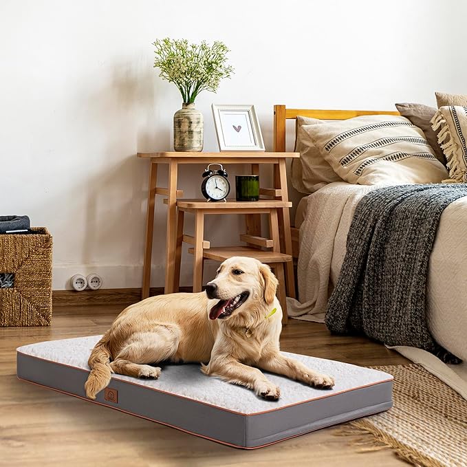 Orthopedic Dog Bed for Large Dogs and Extra Large Dogs, XL Dog Bed with Removable Waterproof Cover and Machine Washable Pet Mat, Egg-Crate Foam, L-Plus(36"X27"X3"), Light Grey