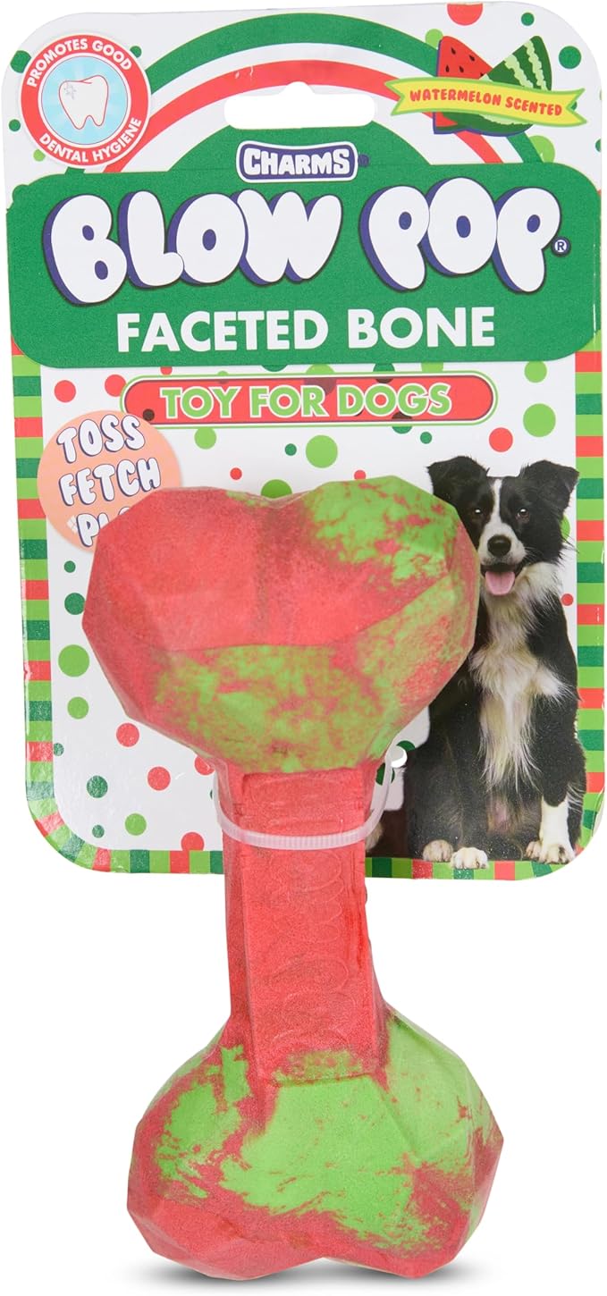 Blow Pop Ombre Geo Bone – Durable Dog Chew Toy for Aggressive Chewers – Textured TPR with Vanilla Scent