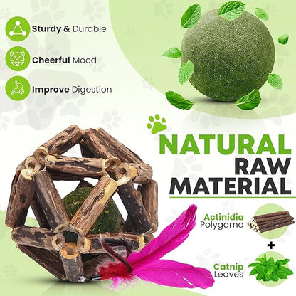 Natural Silvervine Catnip Ball, Feather and Bell Attached, for Indoor Cats, Cleaning Teeth Matatabi Cat Chew Toy. All Kitten Breeds.