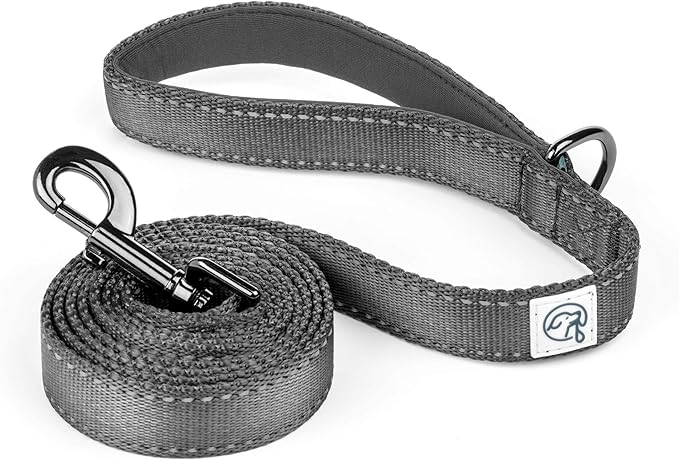 Embark Adventure Dog Leashes - Colorful, Strong, and Sturdy Dog Leash for Small, Medium, and Large Breed Dogs (Black, 5 Ft)