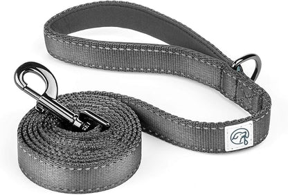 Embark Adventure Dog Leashes - Colorful, Strong, and Sturdy Dog Leash for Small, Medium, and Large Breed Dogs (Black, 5 Ft)