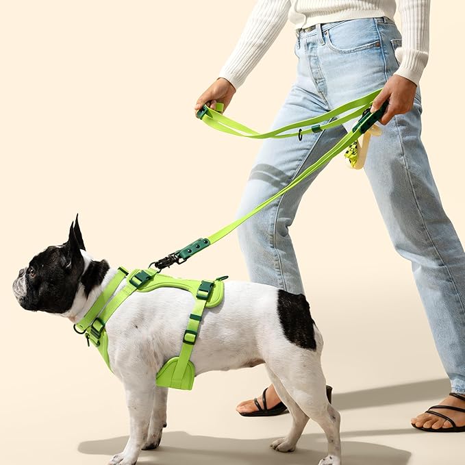 WLK1005B-5SET Luna Medium 8FT Adjustable 6-in-1 Waterproof Hands-Free Leash and Collar with LED Flashlight, Bag Dispenser, and Poop Bag Holder, Mojito