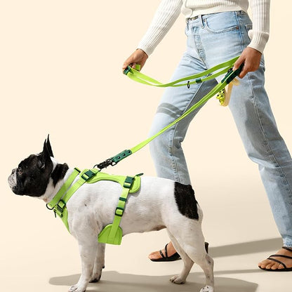 WLK1005B-5SET Luna Medium 8FT Adjustable 6-in-1 Waterproof Hands-Free Leash and Collar with LED Flashlight, Bag Dispenser, and Poop Bag Holder, Mojito