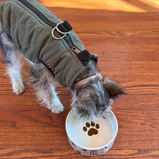 SPOT I Love Dogs Dish -Round Ceramic Food/Water Bowl with High Walls for Pets, Dishwasher Safe, Ideal for Small Dogs, Cats, Reptiles, Large Birds, 5in, 1.75 Cup (14oz)