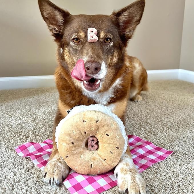 CHEWFFON Dog Plush Squeaky Toy, Interactive Bagel Shape Puppy Snuffle Toys, Cute Dog Puzzle Enrichment Toy Treat Puzzle for Small and Medium Dogs