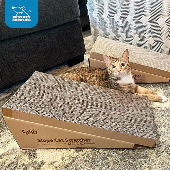 Best Pet Supplies Catify Cat Scratcher, Fun Interactive Scratchers, Posts, Poles, Claw Safe, Furniture Saver Indoor Play Support Natural Cat Behaviors Heavy Duty - Slope Scratcher (2 Pack), 19 x 9.5"
