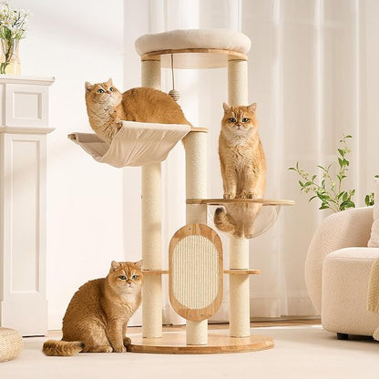 Modern Solid Wood Cat Tree for Indoor Cats Up to 15lbs, 49" Tall Cat Tower with Scratching Posts & Scratcher, Large Cat Bed, Hammock, Capsule Nest, Dangling Ball, Multi-Level Cat Furniture