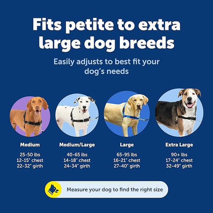 PetSafe Easy Walk No-Pull Dog Harness - The Ultimate Harness to Help Stop Pulling - Take Control & Teach Better Leash Manners - Helps Prevent Pets Pulling on Walks, Medium, Apple Green/Gray