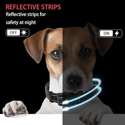 Reflective Dog Collar with Safety Locking Buckle, Adjustable Soft Breathable Nylon Collars for Small, Medium and Large Dogs(Collar+Leash S Width 3/4" Black)