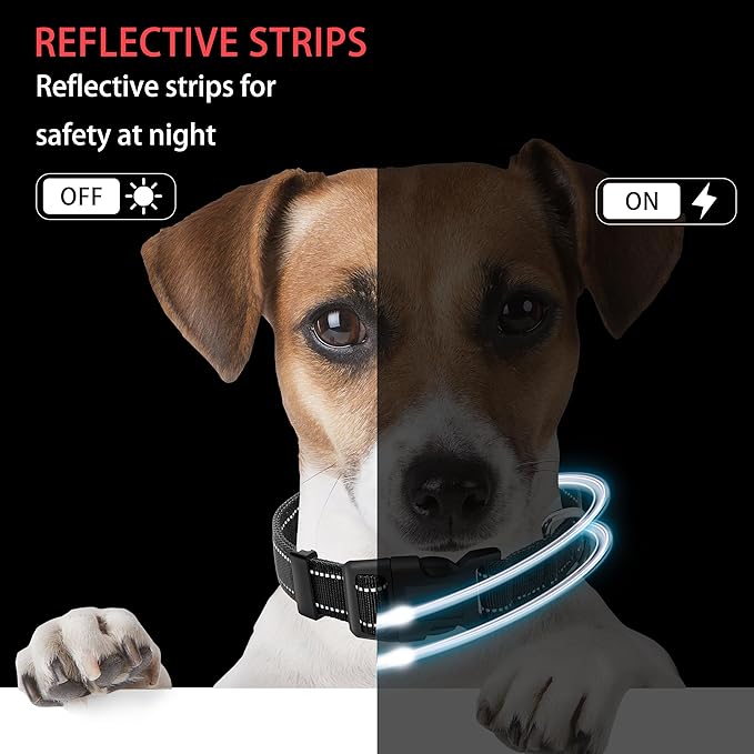 Reflective Dog Collar with Safety Locking Buckle, Adjustable Soft Breathable Nylon Collars for Small, Medium and Large Dogs(Collar+Leash M Black)