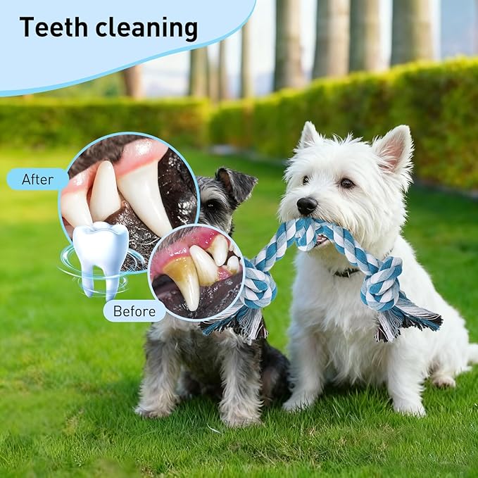 SZEE 2Pcs Dog Rope Toys for Small Breeds, 14 in 3 Knots Chew Rope Toy for Dogs, Pull Toy for Tug of War, Energy Release, Boredom Relief and Teeth Cleaning (Green & Blue)