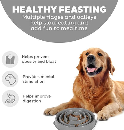 Outward Hound Fun Feeder Slo Bowl – Large 4‑Cup Capacity, Slow Feeding, Medium to Large Dogs, Non‑Slip, Gray, Drop Pattern